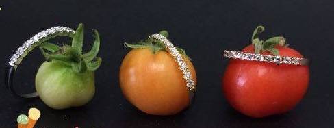 Tomaten u Ringe